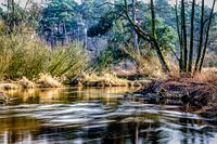 Along the Dinkel (Overijssel)