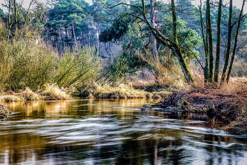 Le long de la Dinkel (Overijssel) par H Verdurmen