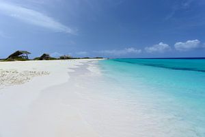 Petit Curaçao sur Bfec.nl