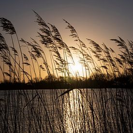 Sonnenaufgang von Ineke Verbeeck