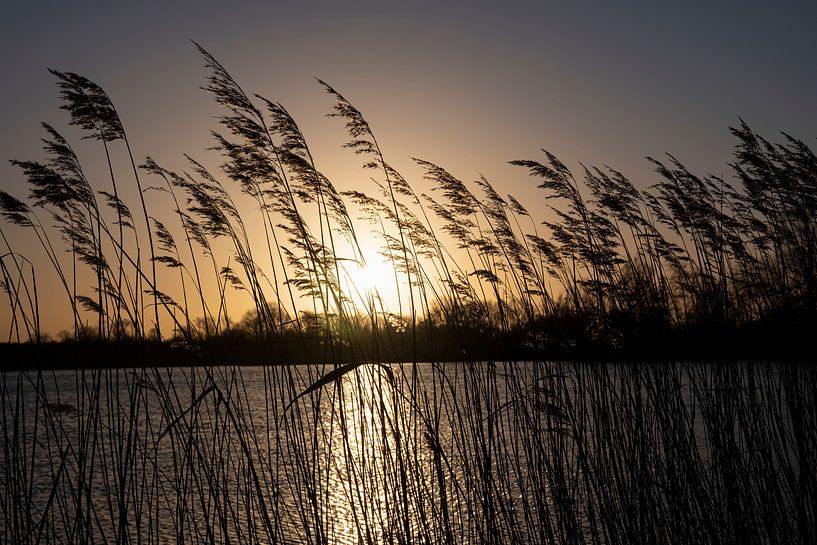 Sunrise by Ineke Verbeeck