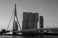 De Rotterdam van Paul Schlüter thumbnail