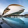 Het Palau de les Arts Reina Sofia, Valencia van Laura Dijkslag