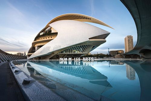 Der Palau de les Arts Reina Sofia, Valencia von Laura Dijkslag