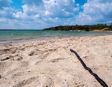 Partwitzer meer bij Hoyerswerda in Saksen van Animaflora PicsStock