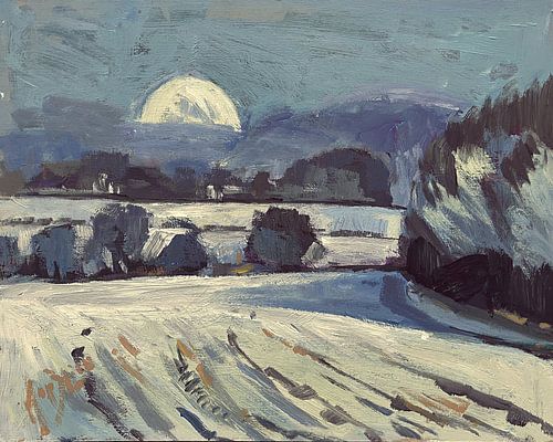 Setting moon over the Hill Country