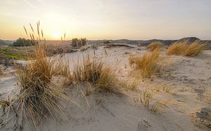 Dutch Dunes by Dirk van Egmond