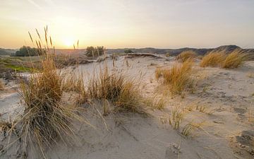 Holländischer Strand und Dünen von Dirk van Egmond