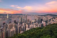 HONG KONG 15