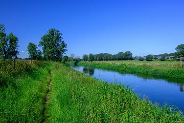 Silence d'été sur la rivière Niers en Allemagne