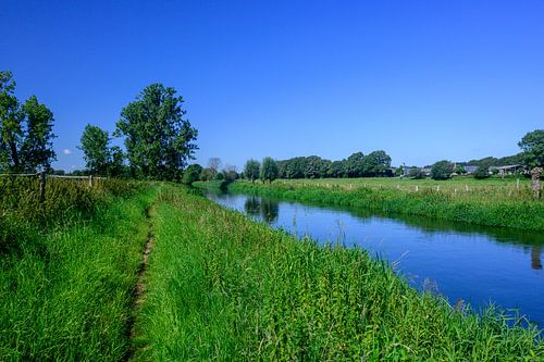 Zomerse Stilte aan de Niers in Duitsland