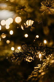 Joyeux Noël