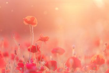 Poppy dreams part II