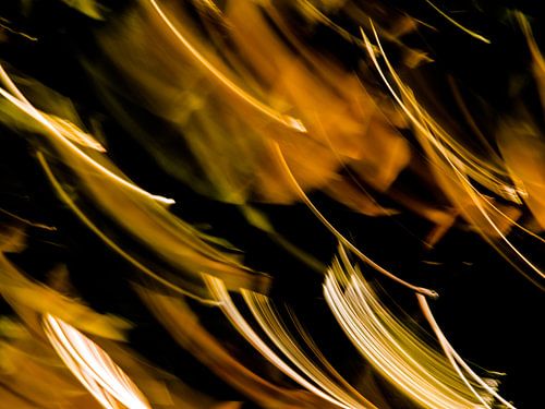 EVEIL DU PRINTEMPS # 47