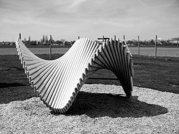 Houtsculptuur zwart-wit van Christian Mueller