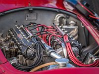 v12 Maserati engine