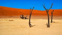 Kale, oude bomen in Deadvlei, Namibië