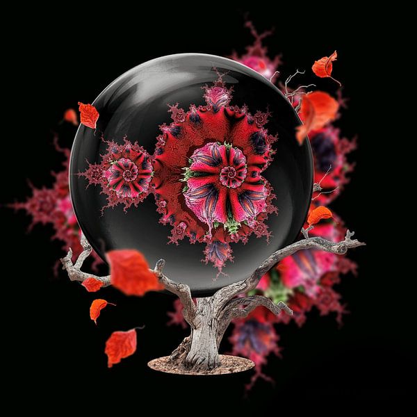 La magie d'une boule de cristal par Nina IoKa