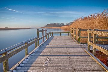 Roggesloot De Cocksdorp von Johan Habing