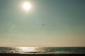 SkyScape Seagul Nortsea #001