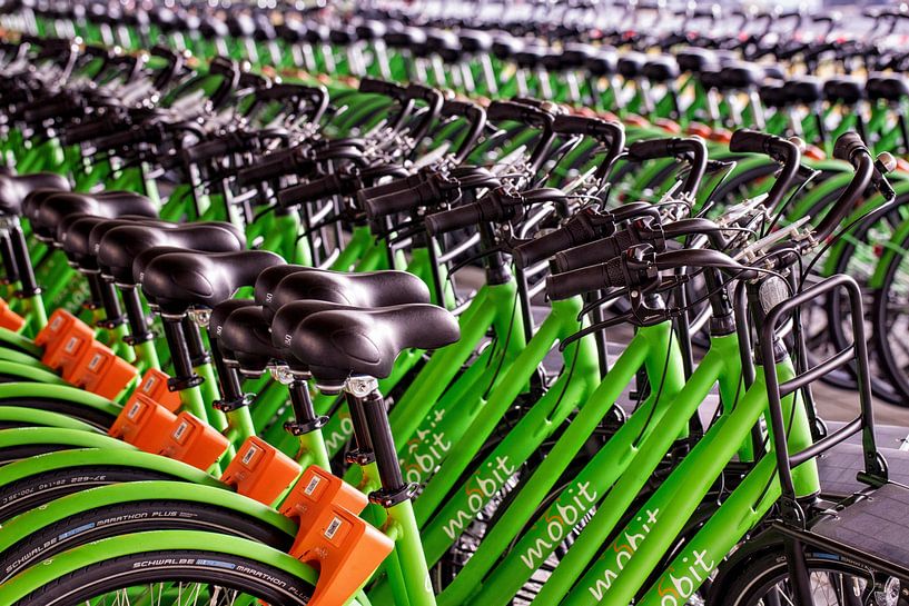 Bicycles by Rob Boon