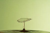 Splashrt Photography