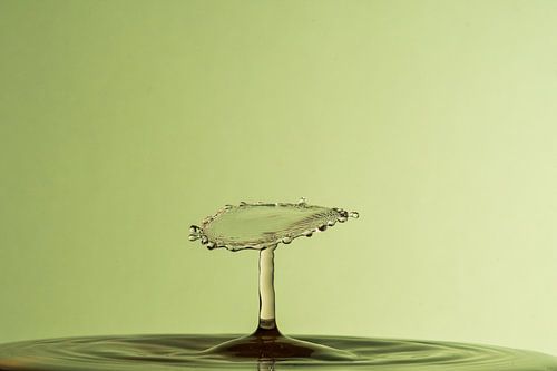 Waterdrop Photography