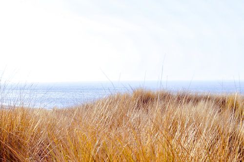 Strand te Oostkapelle