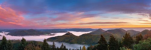 Palatinate Forest at sunrise. by Voss Fine Art Fotografie