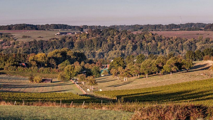 Fromberg von Rob Boon