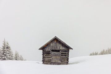 Schuppen mit Schnee von Marika Huisman fotografie