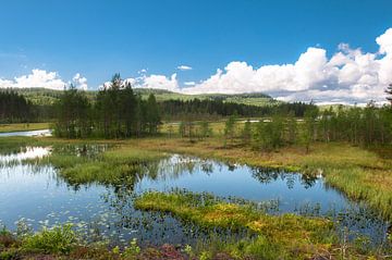 National park fulufjället