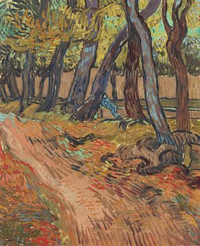 Pad in de tuin van het gesticht, Vincent van Gogh