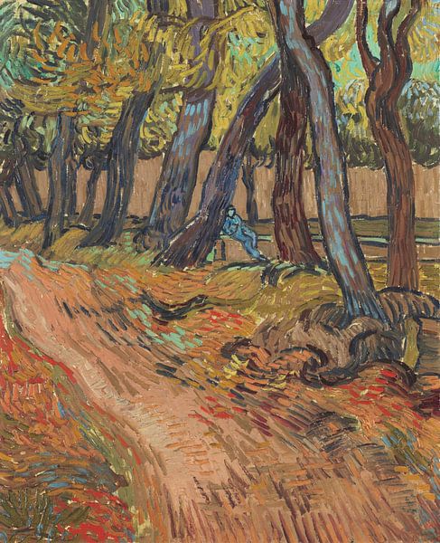 Path in the garden of the asylum, Vincent van Gogh by Masterful Masters