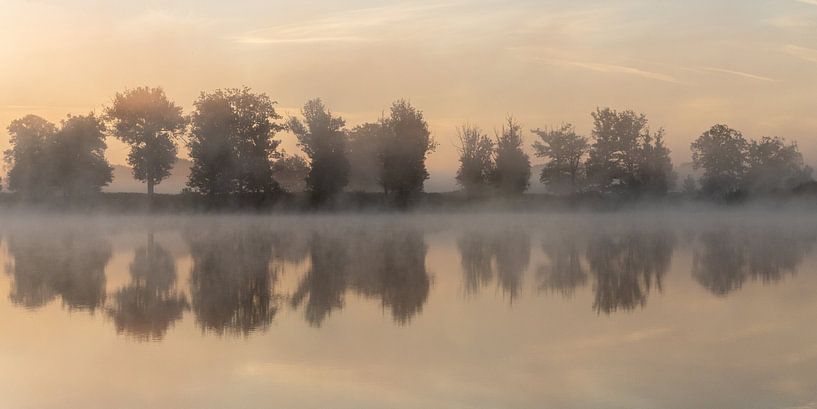 Nebliger Morgen in Belversven von Vivianne Molenaar-Seinen
