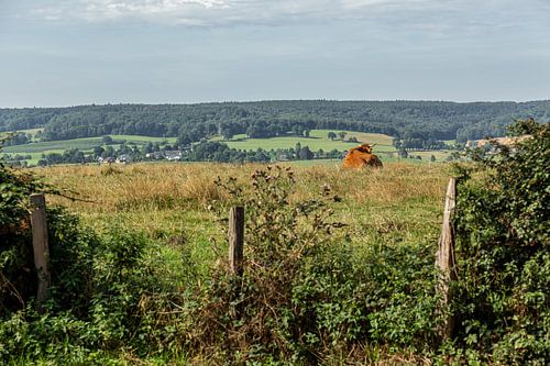 Uitzicht op de heuvels van Zuid-Limburg
