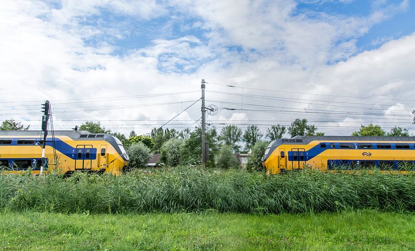 Double Dutch by Henk Hartzheim