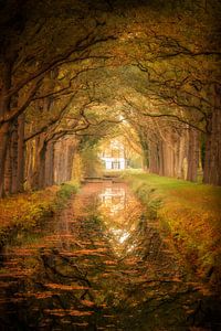 L'automne à Veenhuizen