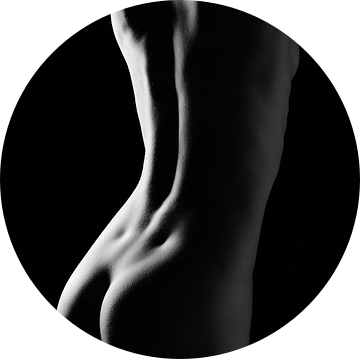 Naakte rug van Peter Nackaerts