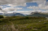 Eenzame wandelaar in Jotunheimen, Noorwegen van Sean Vos thumbnail