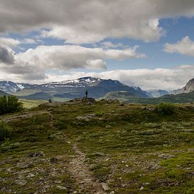 Einsamer Wanderer in Jotunheimen, Norwegen von Sean Vos