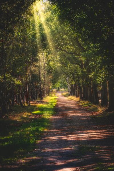 Take The Long Way Home van Arjen Uijttenboogaart