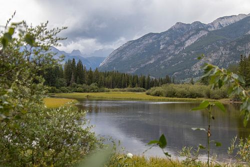 Banff national park Canada Alberta wetlands