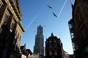 Domtoren Utrecht vanaf de Stadhuisbrug sur Patrick van den Hurk