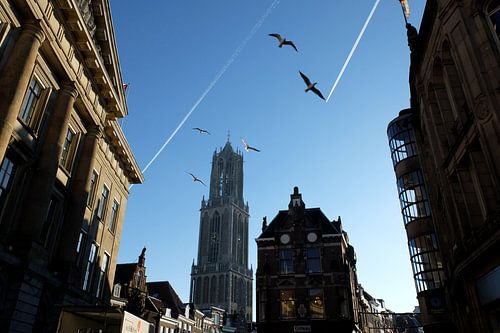 Domtoren Utrecht vanaf de Stadhuisbrug van Patrick van den Hurk