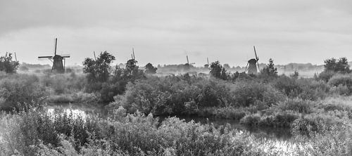 Fog patches in Kinderdijk