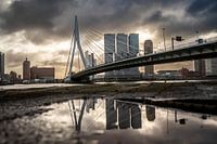 Rotterdam!