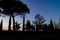 Prachtige silhouette foto van bomen in Toscane