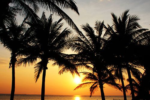 Sunset by the Sea II