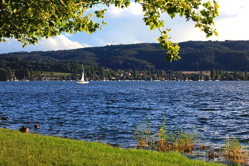 Lake Constance by Thomas Jäger
